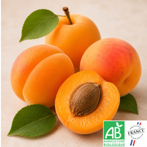 Abricot à la caisse - 3KG / (6€KG)
