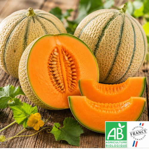 Melon Charentais à la caisse (4 pièces)