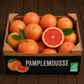 Pamplemousse vendu à la caisse