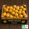 Prune Golden à la caisse 3K